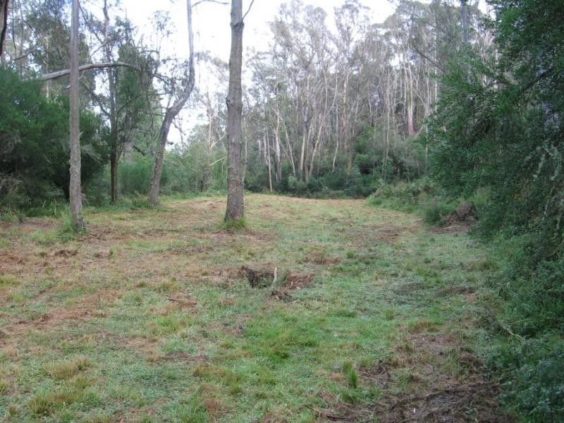 Proposed Lot 21 Fieldbuckets Road, Quaama NSW 2550