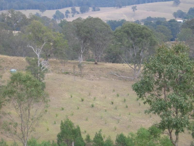68 Link Road, Cobargo NSW 2550