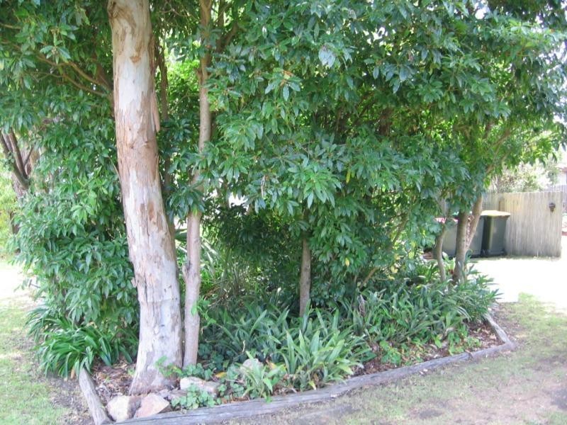 11 Wallaga Lake Road, Wallaga Lake NSW 2546