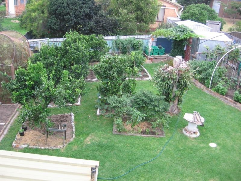 13 Wallaga Lake Road, Wallaga Lake NSW 2546