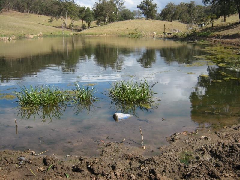 83 Green-Tyrrells Road, Coolagolite NSW 2550