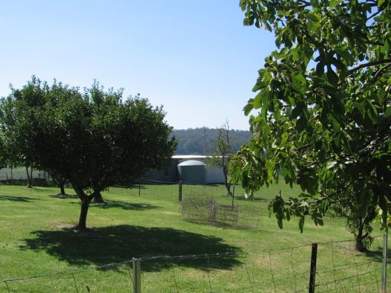 83 Green-Tyrrells Road, Coolagolite NSW 2550