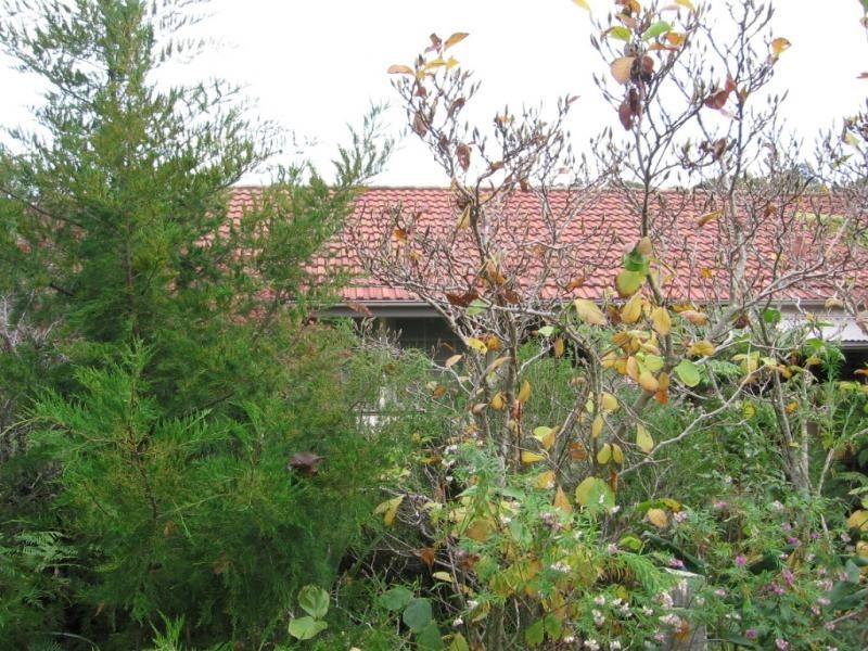 12 Turner Drive, Wallaga Lake NSW 2546