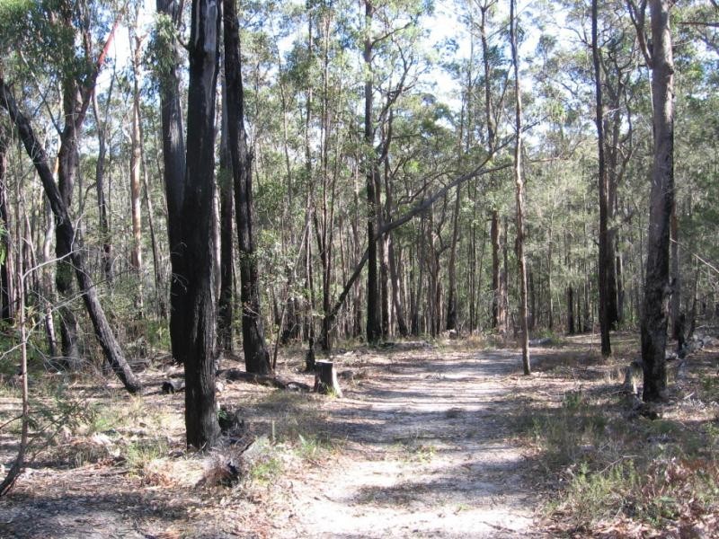 Lot 131 Whittles Road, Wapengo NSW 2550