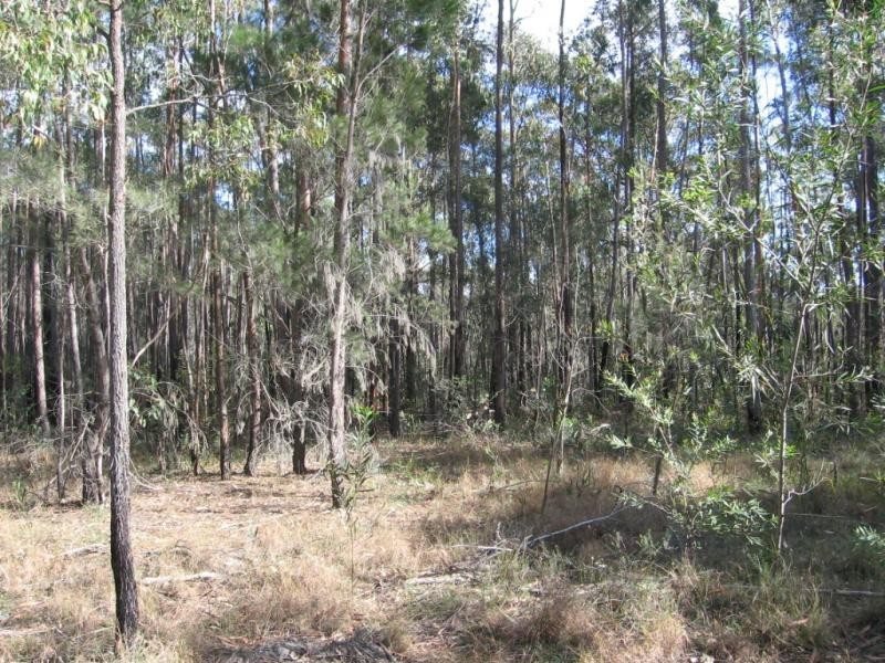 Lot 131 Whittles Road, Wapengo NSW 2550