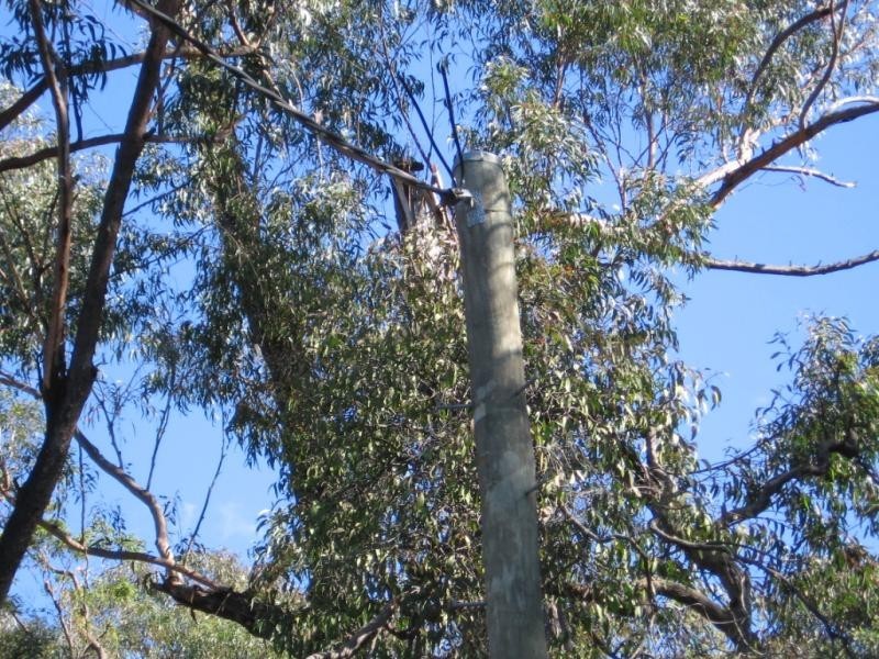 Lot 131 Whittles Road, Wapengo NSW 2550