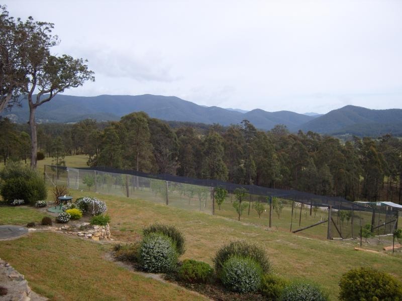 Yowrie NSW 2550