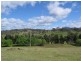 Lot 376 Murrabrine Lane, Cobargo NSW 2550