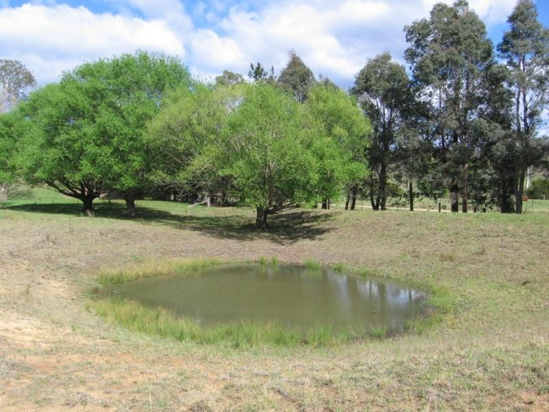 Lot 376 Murrabrine Lane, Cobargo NSW 2550