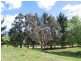 Lot 376 Murrabrine Lane, Cobargo NSW 2550