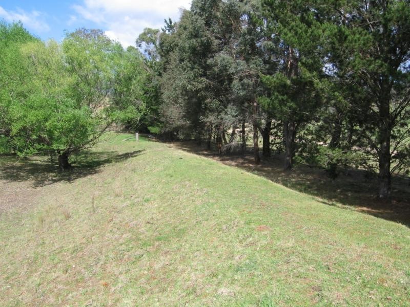 Lot 376 Murrabrine Lane, Cobargo NSW 2550