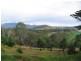 Cobargo NSW 2550