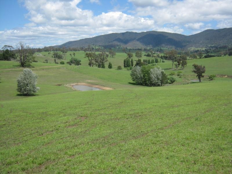 LD Murrabrine Lane, Cobargo NSW 2550