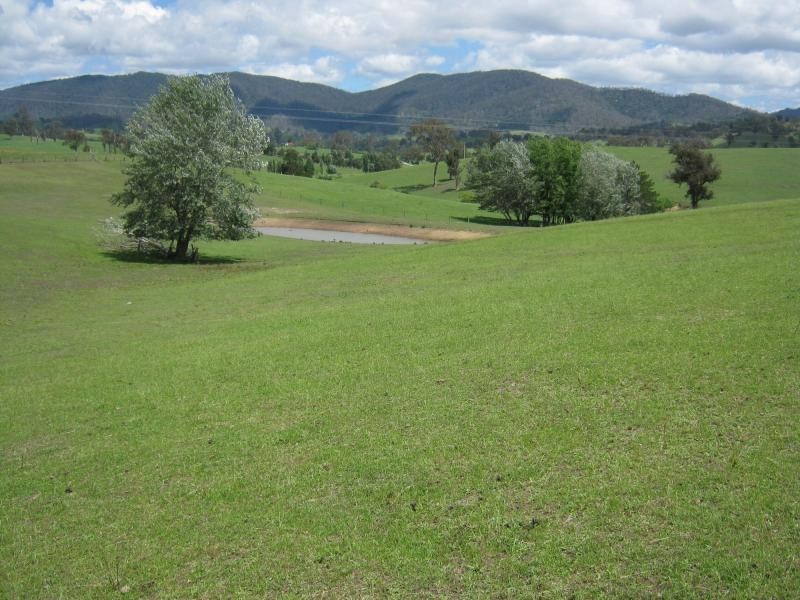 LD Murrabrine Lane, Cobargo NSW 2550