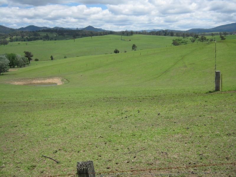 LC Murrabrine Lane, Cobargo NSW 2550