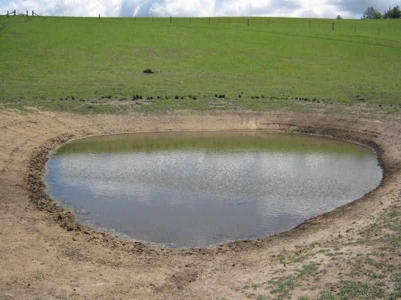 LC Murrabrine Lane, Cobargo NSW 2550
