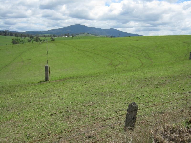 Lot A – C – D Murrabrine Lane, Cobargo NSW 2550