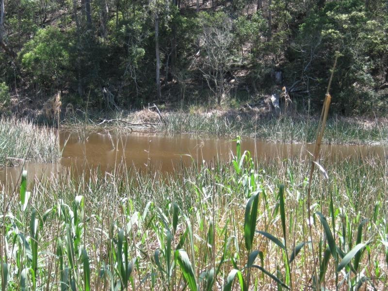 Lot 1 Bermagui Tathra Road, Barragga Bay NSW 2546