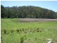 Lot 1 Bermagui Tathra Road, Barragga Bay NSW 2546