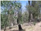 Brogo NSW 2550