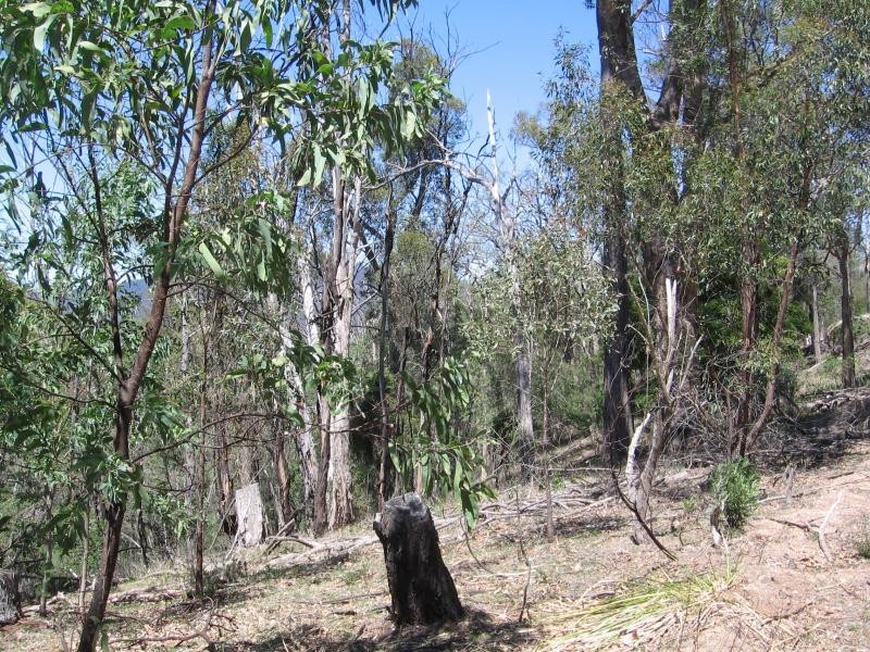 Brogo NSW 2550