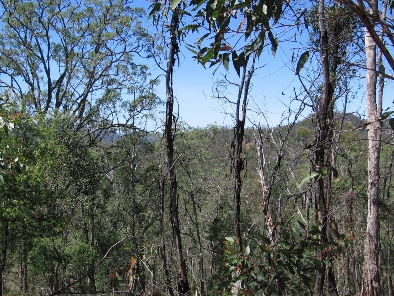 Brogo NSW 2550
