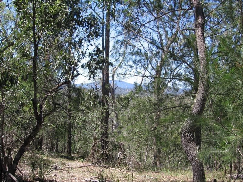 Brogo NSW 2550