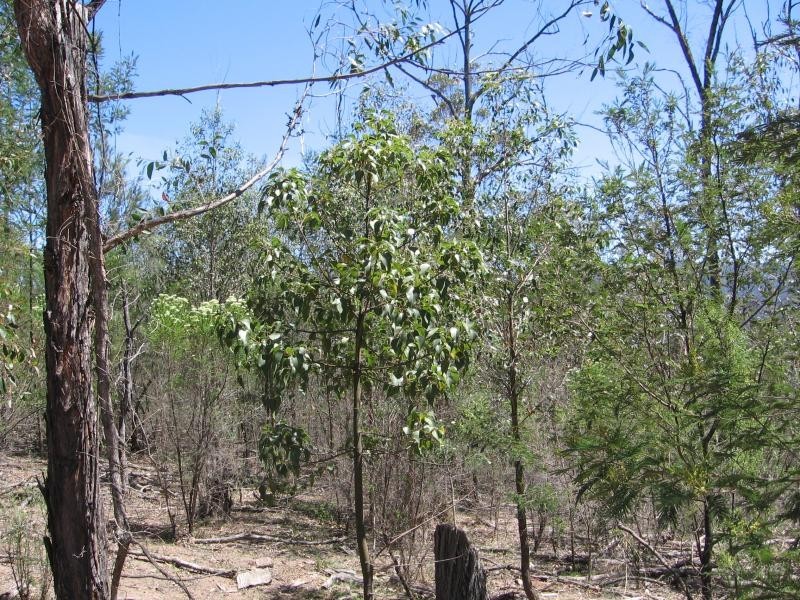 Brogo NSW 2550