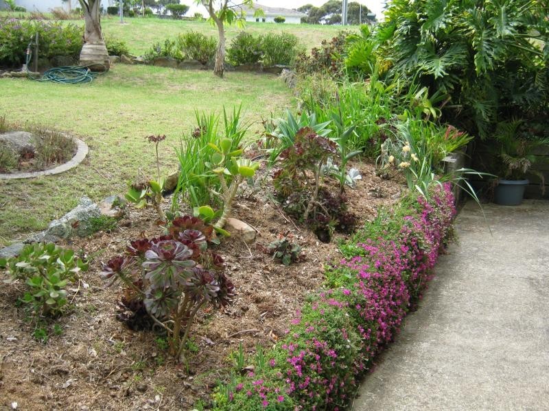 33 West Street, Bermagui NSW 2546