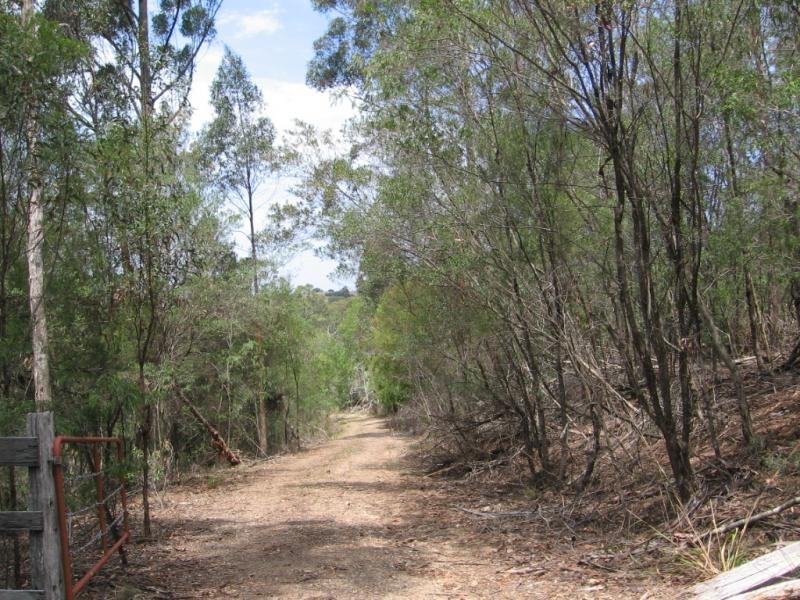 Lot 74 Barrabooka Road, Tanja NSW 2550