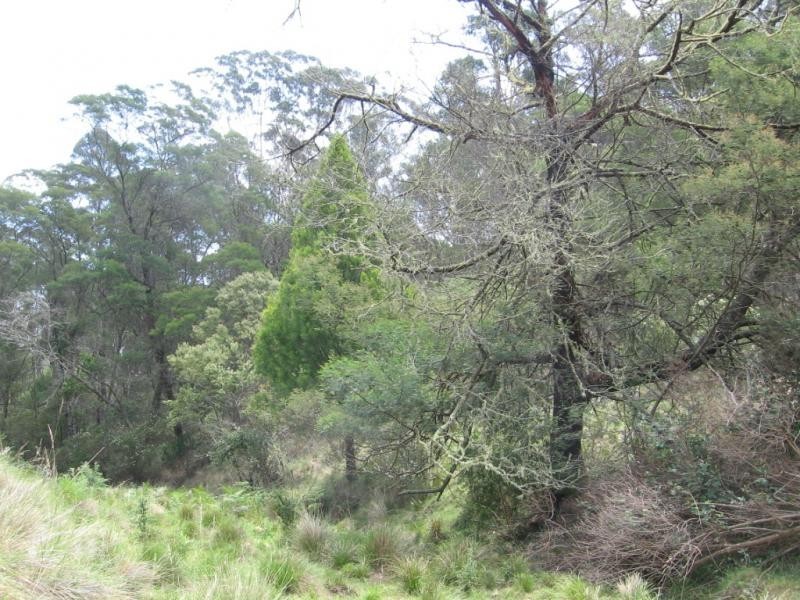 Lot 74 Barrabooka Road, Tanja NSW 2550