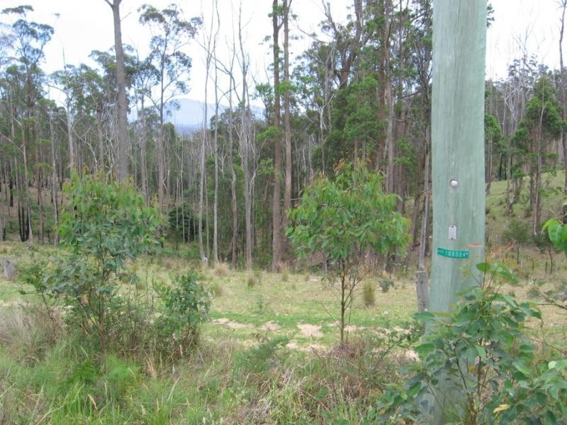 Lot 810 Christophers Road, Quaama NSW 2550