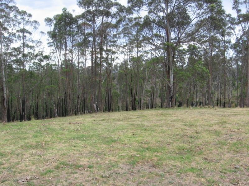 Lot 810 Christophers Road, Quaama NSW 2550