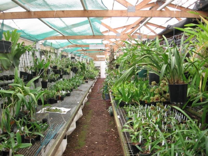 912 Upper Cobargo Road, Brogo NSW 2550