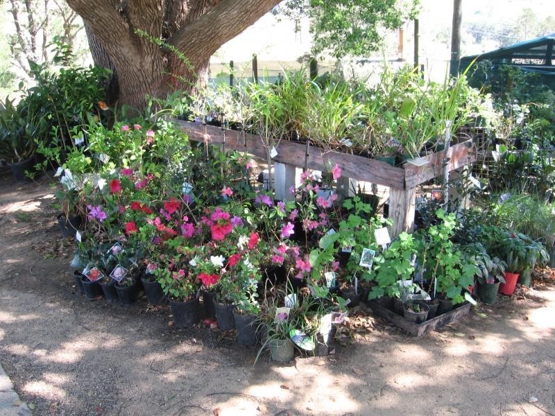 912 Upper Cobargo Road, Brogo NSW 2550