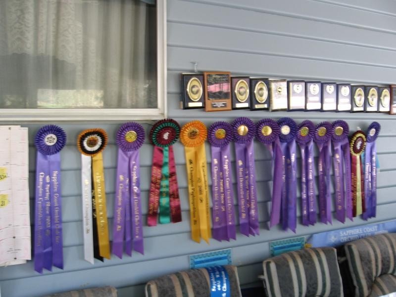 912 Upper Cobargo Road, Brogo NSW 2550