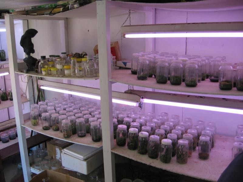 912 Upper Cobargo Road, Brogo NSW 2550