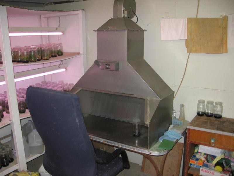 912 Upper Cobargo Road, Brogo NSW 2550