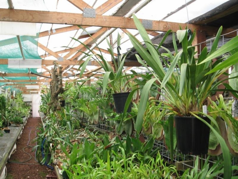 912 Upper Cobargo Road, Brogo NSW 2550