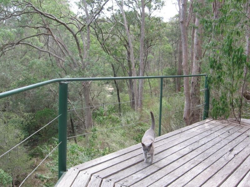 Brogo NSW 2550