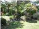 54 Oconnells Point Road, Beauty Point, Bermagui NSW 2546