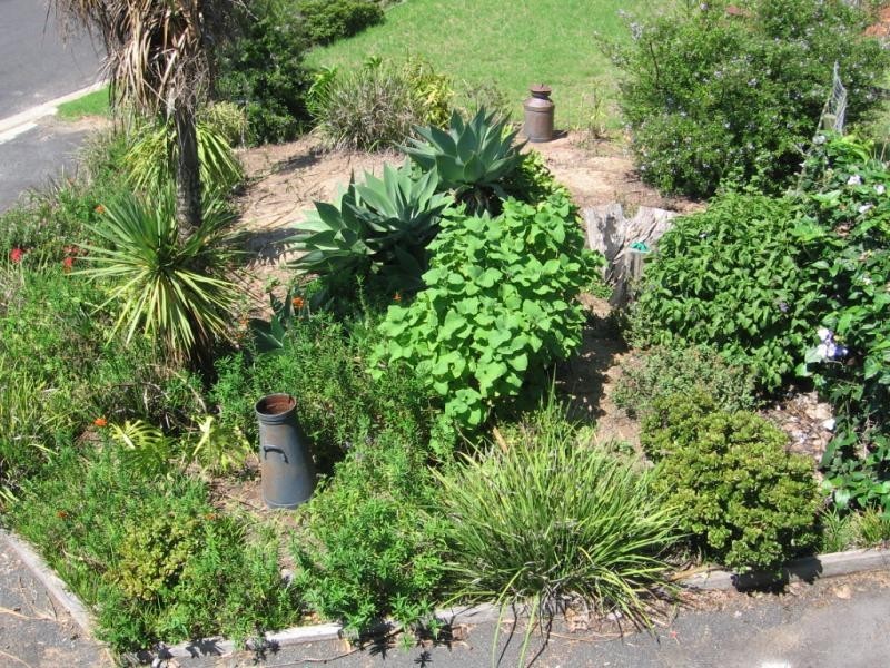 6 Hart Street, Bermagui NSW 2546