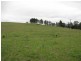 Lot 377 Murrabrine Lane, Cobargo NSW 2550