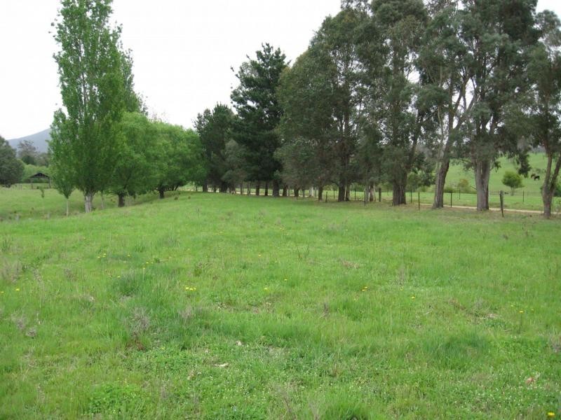 Lot 377 Murrabrine Lane, Cobargo NSW 2550