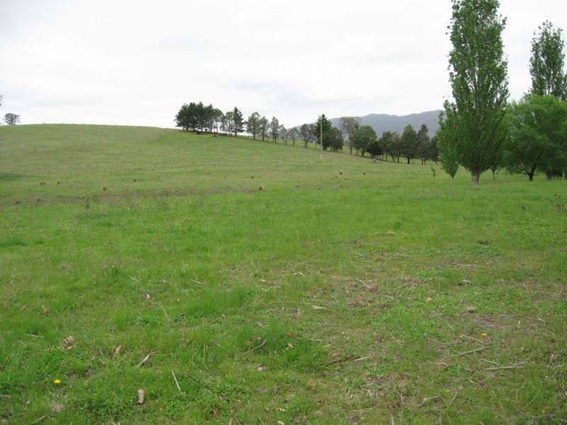Lot 377 Murrabrine Lane, Cobargo NSW 2550
