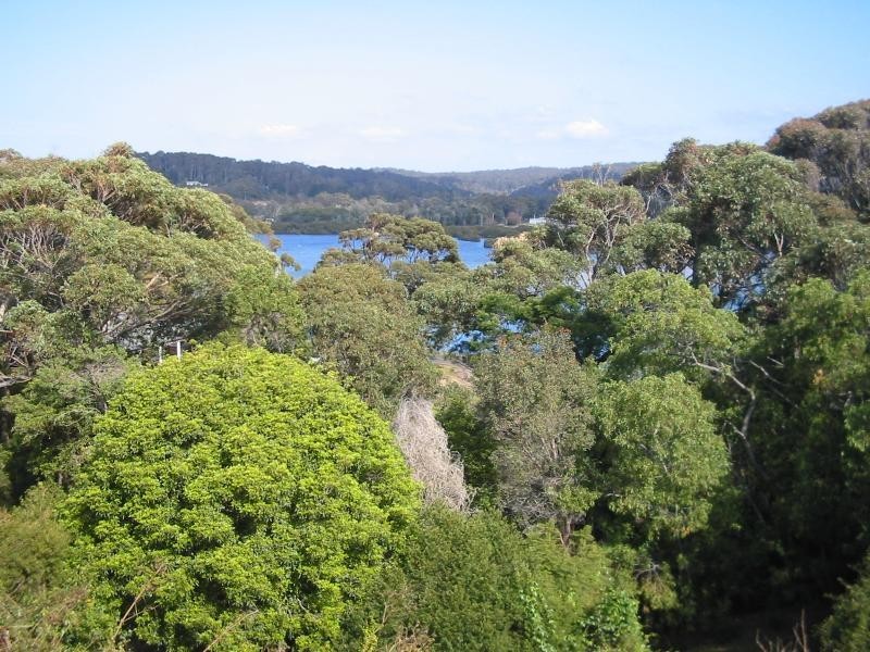 16 George Street, Bermagui NSW 2546