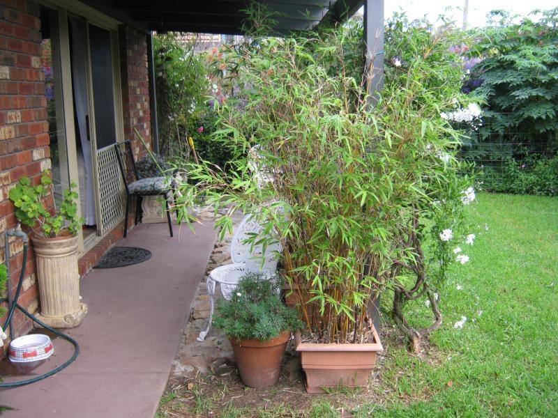 16 George Street, Bermagui NSW 2546