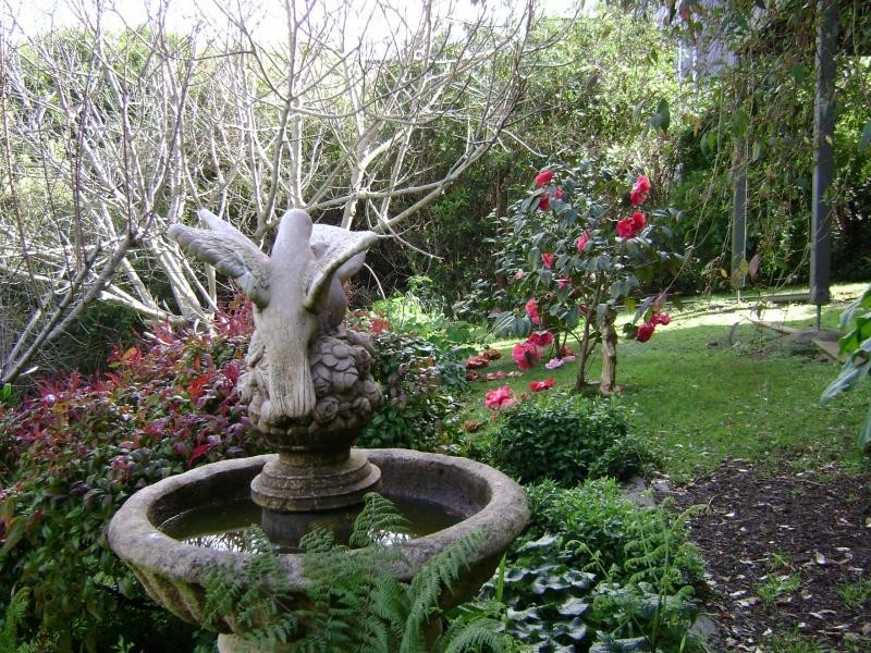16 George Street, Bermagui NSW 2546