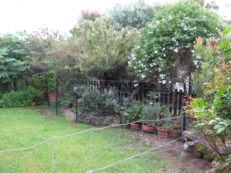 16 George Street, Bermagui NSW 2546