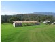 201 Dignams Creek Road, Dignams Creek, Cobargo NSW 2550